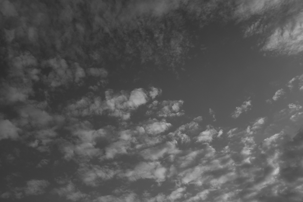 Untitled.