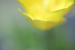こぼれる。