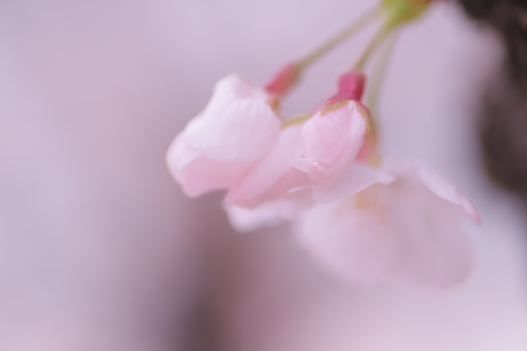 ゆっくりと。。。