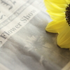 Newspaper.