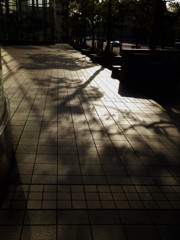 夕暮れ時。