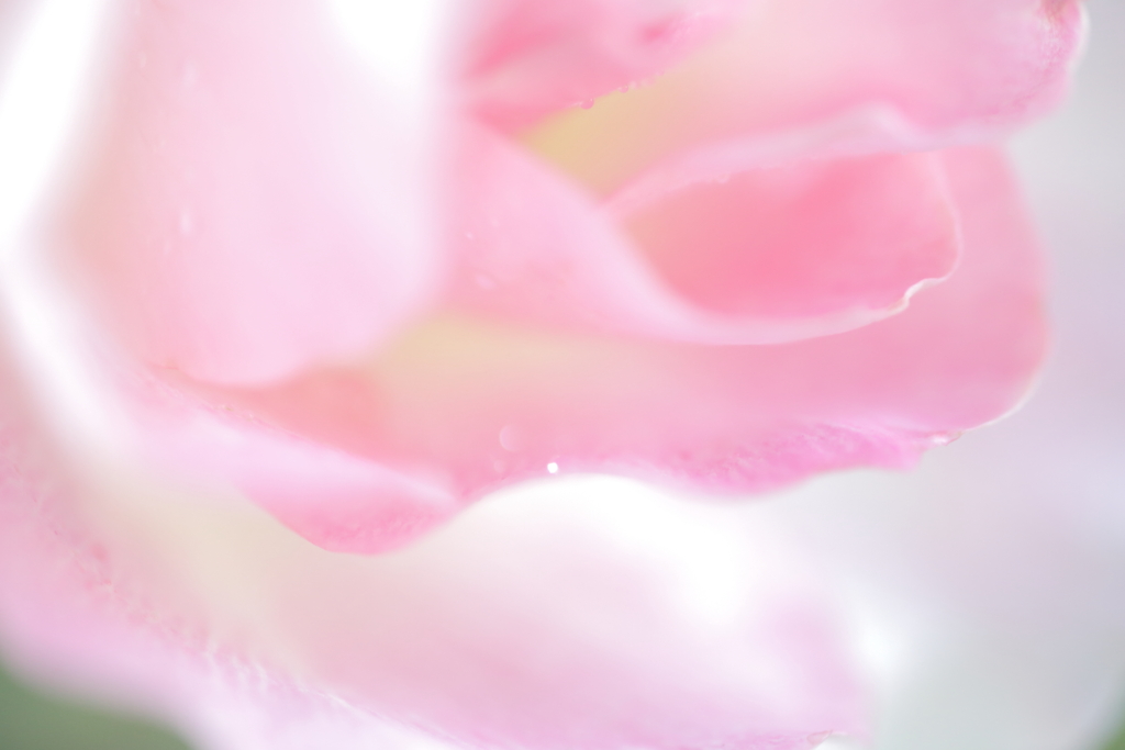 朝光。