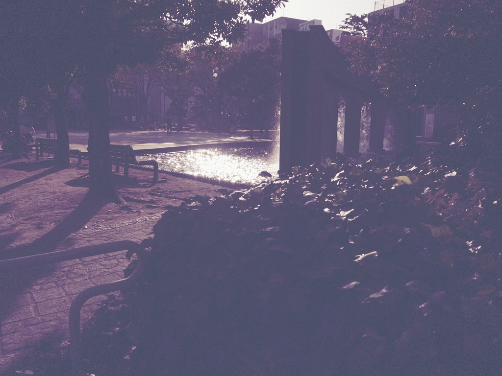 昼下がりの公園。