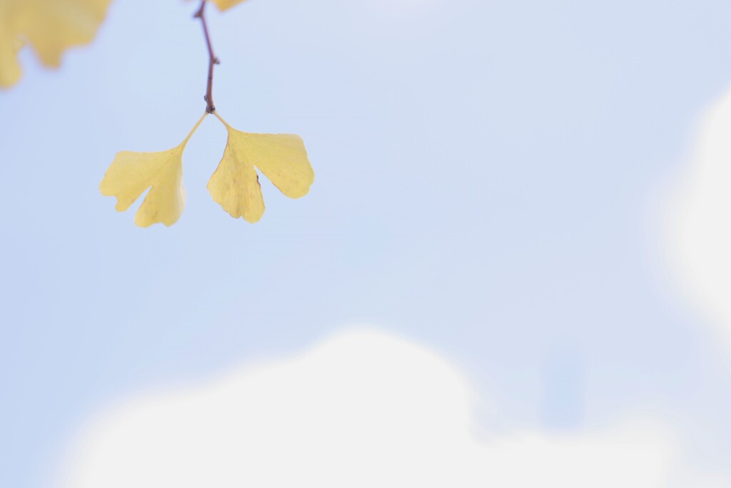 空飛ぶ　ふたり。