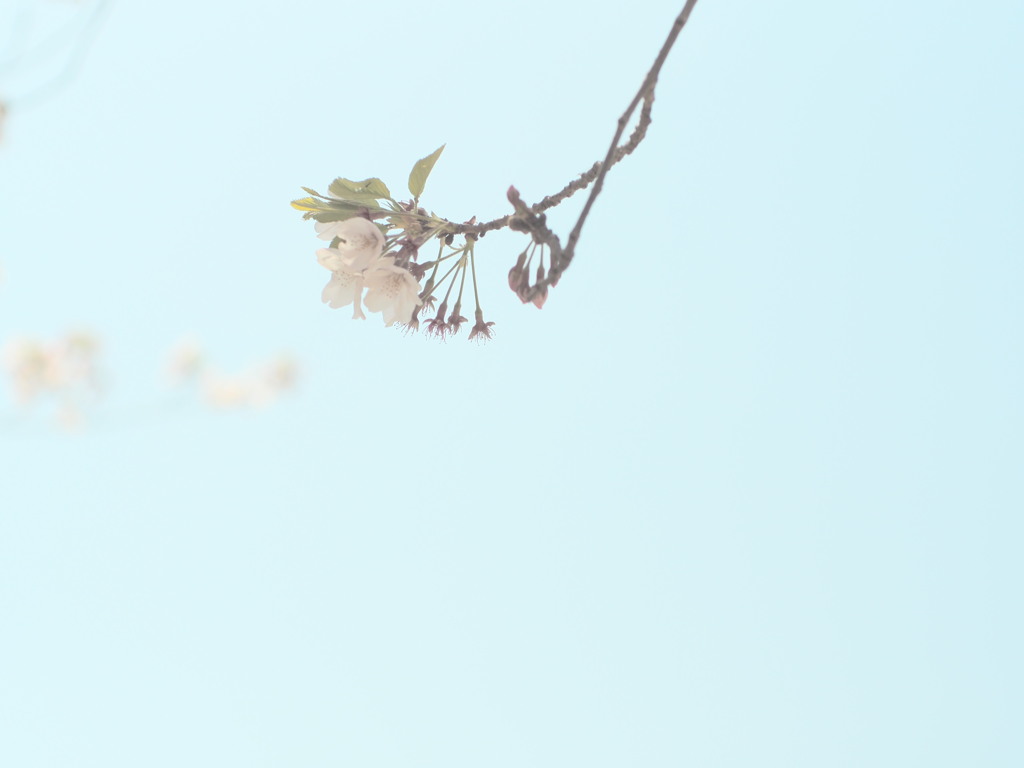 空に漕ぐ。