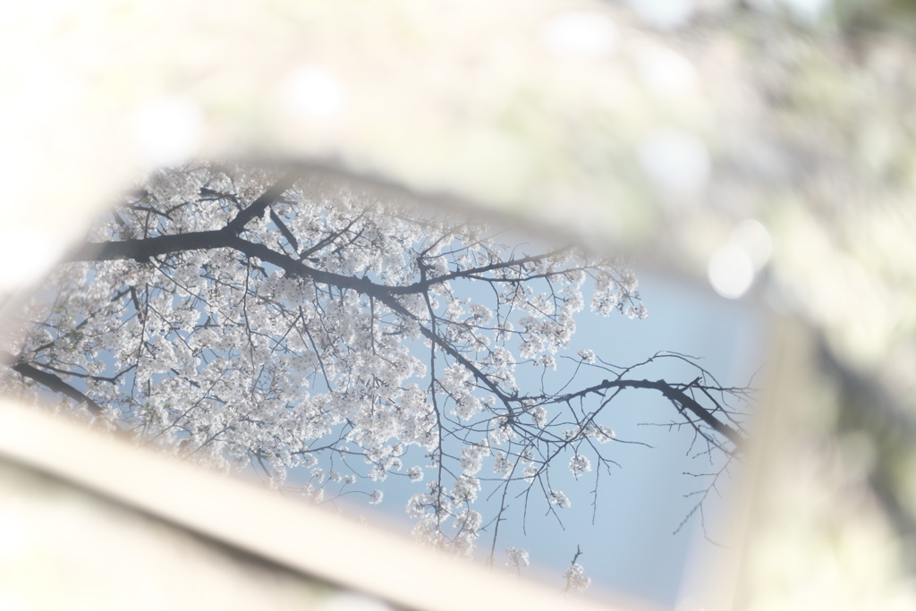 一呼吸　置いた…。