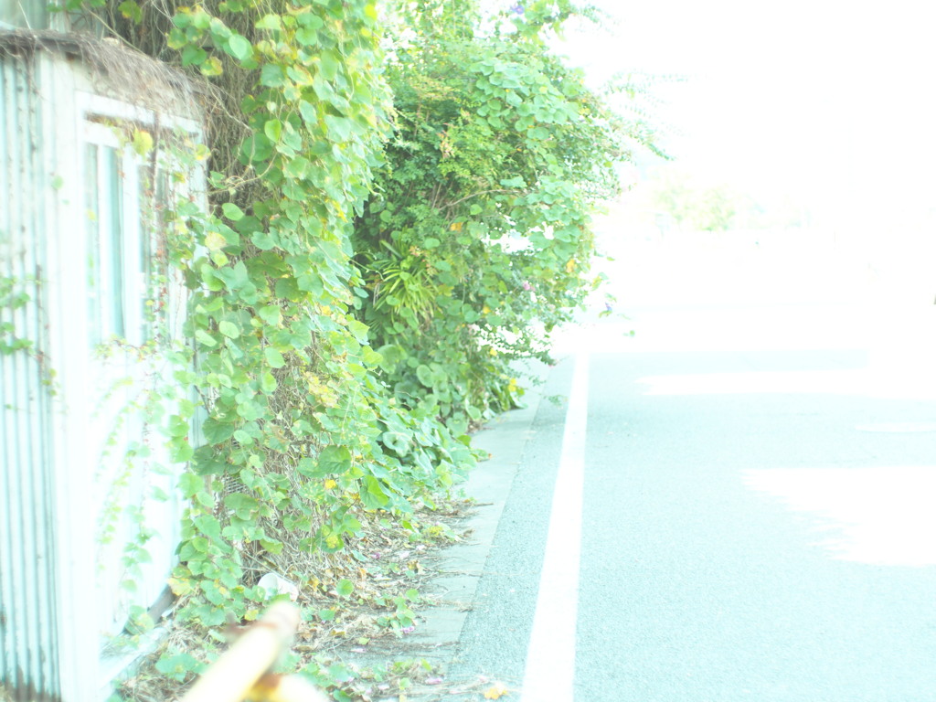 さ　ん　ぽ。