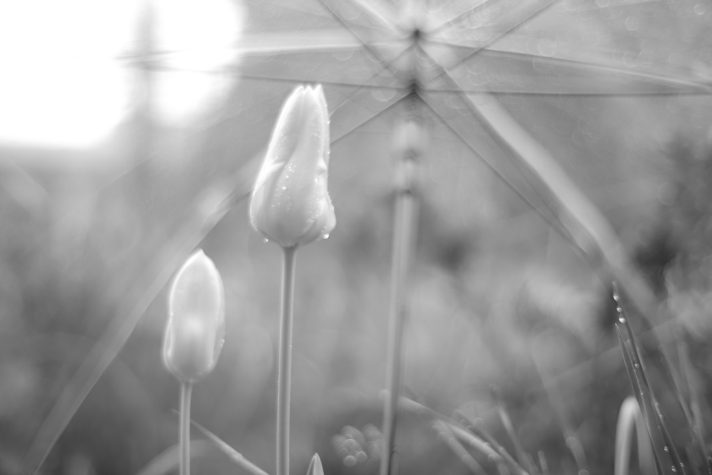 雨も楽しいかもね。