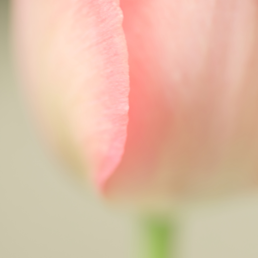春、チョット前…