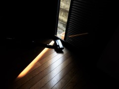 最後のヒカリ。