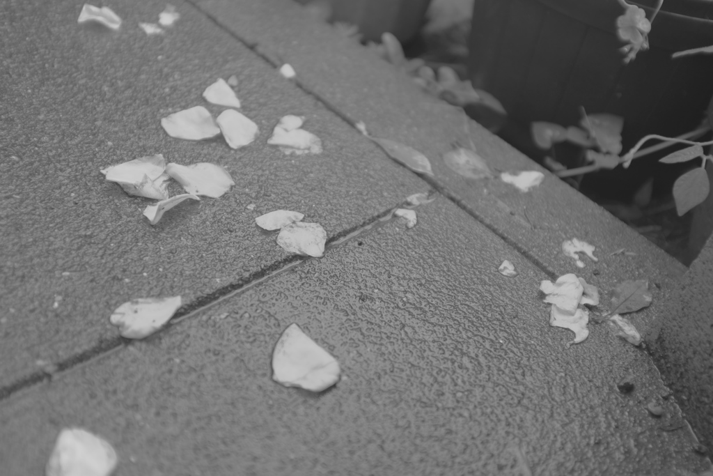 Untitled.