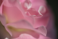 Untitled.