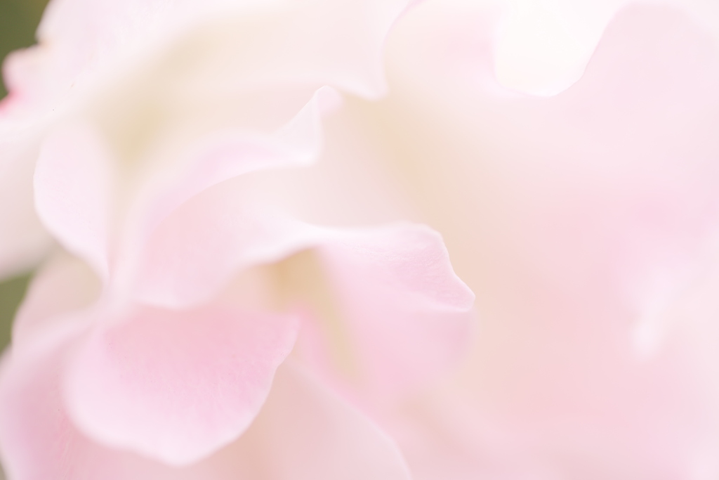 ほんのり…somaru。