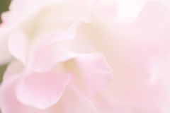 ほんのり…somaru。