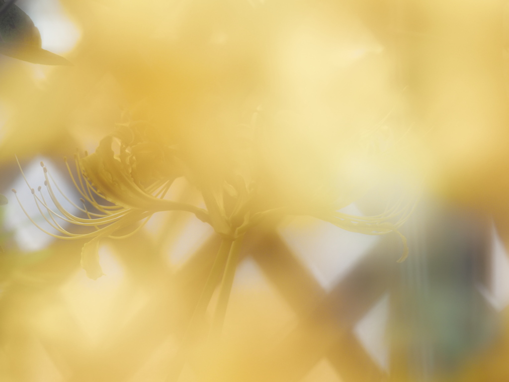 Untitled.