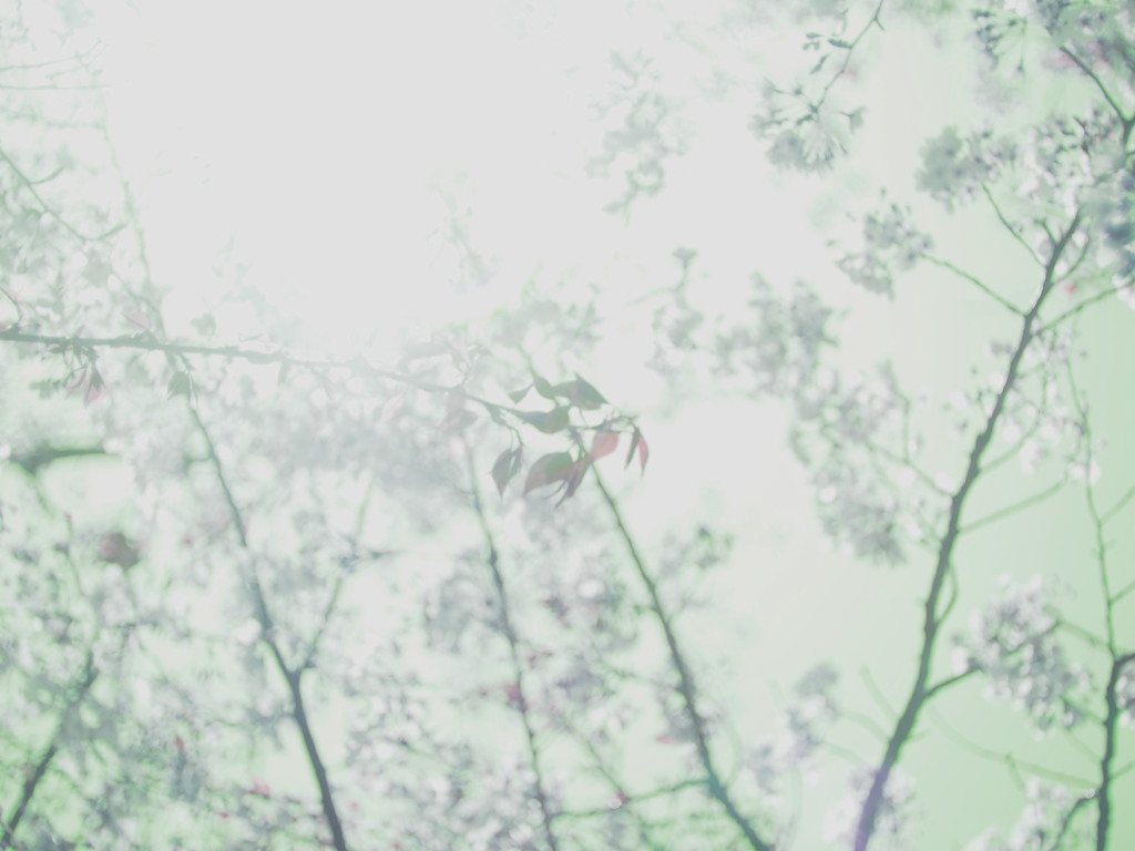 光。