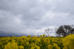 山は雪