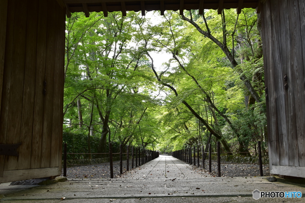 光明寺/京都