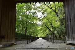 光明寺/京都