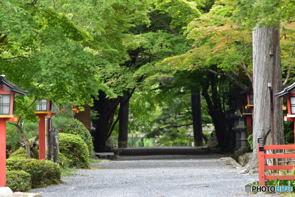 大原野神社