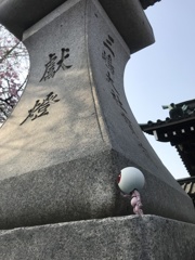 目玉おやじの旅