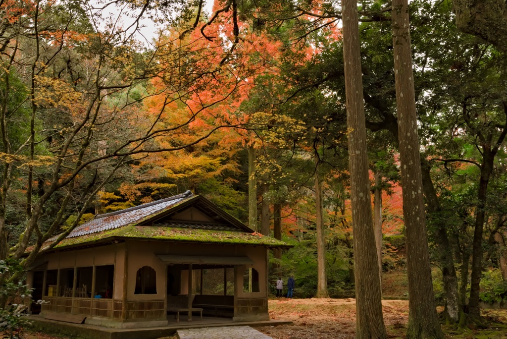 森林の小屋
