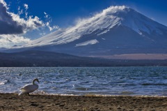 のんびり大晦日