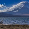 のんびり大晦日