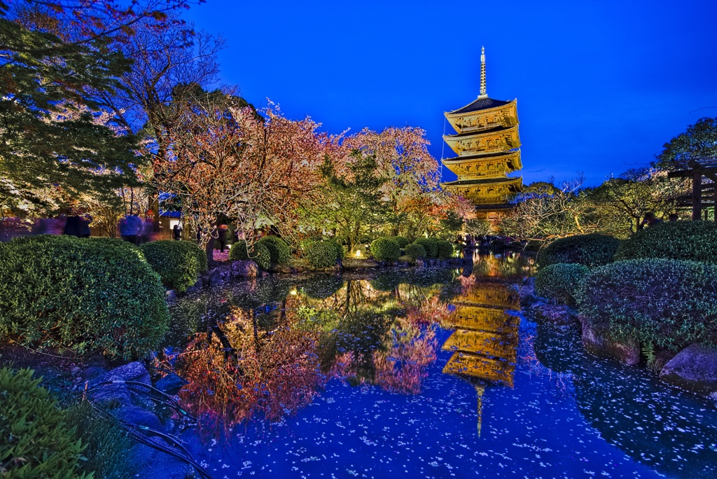 東寺ライトアップ-リフレクション-