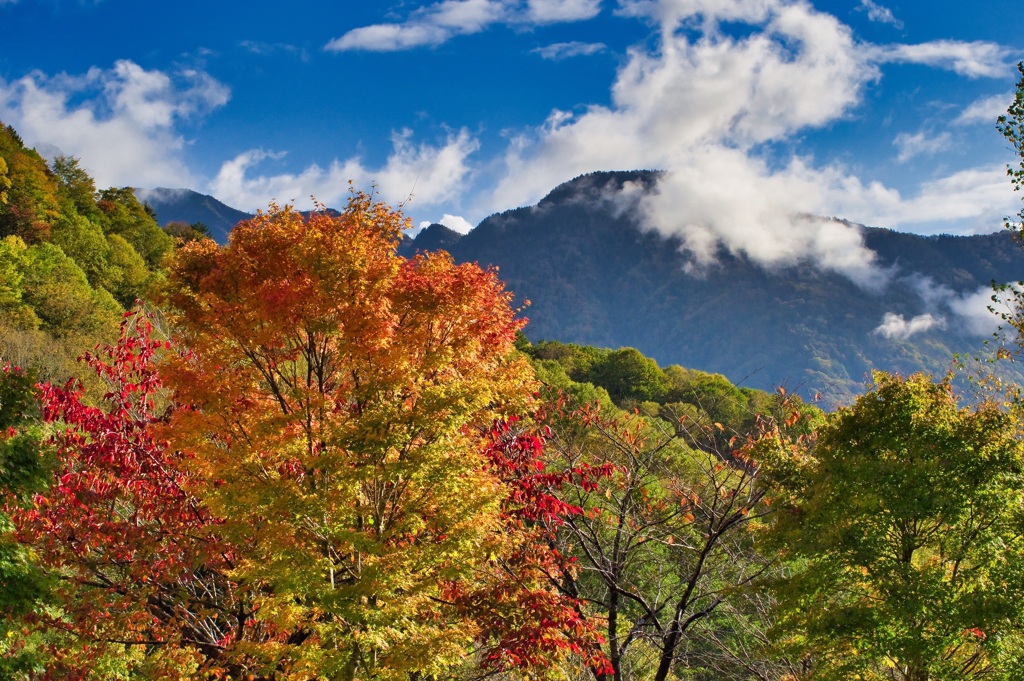 新穂高紅葉めぐり①