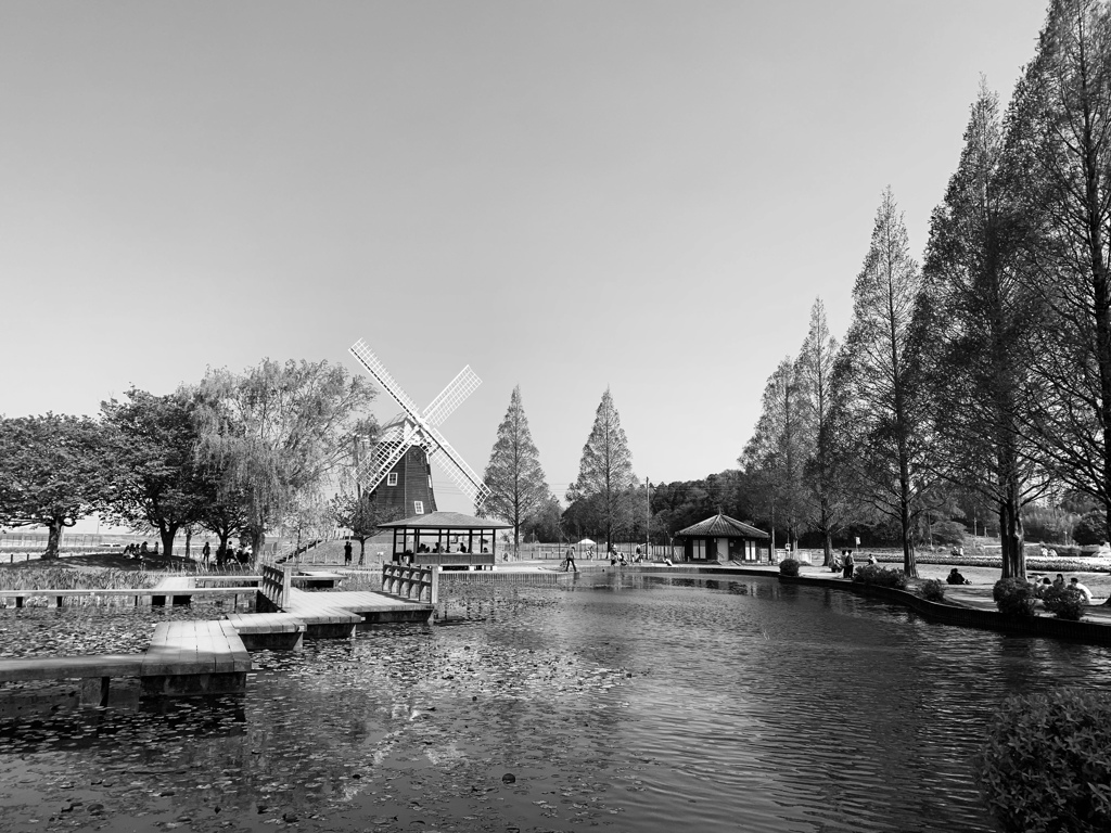 風車、フィルター撮影