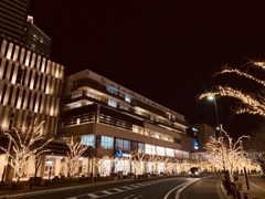 はじめての夜景！