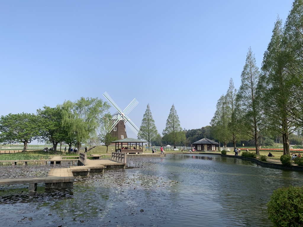 風車オリジナル画像