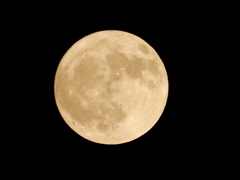 18AF13F3-5C81-4B5D-99AB-8B0EC8DE3F64