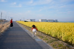 菜の花よりも母が好き