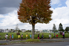 気になる木と子供たち