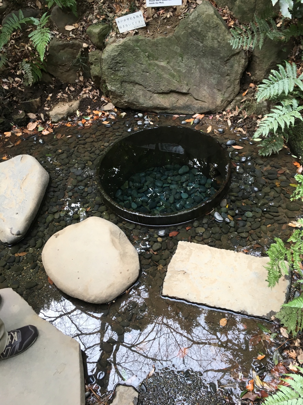 明治神宮