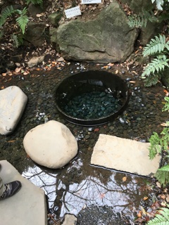 明治神宮