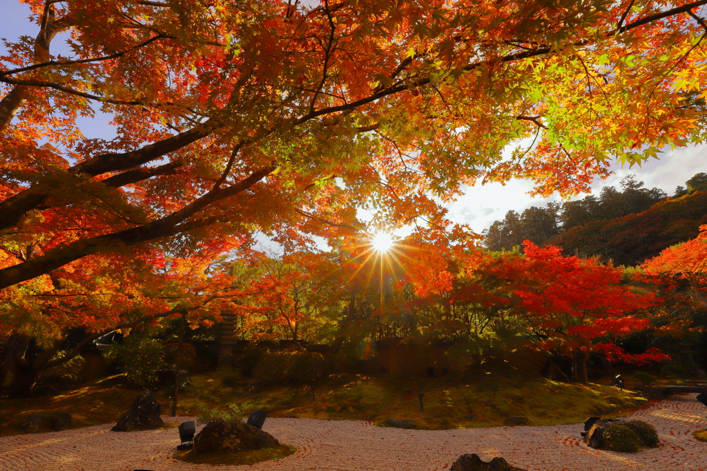 紅葉と枯山水