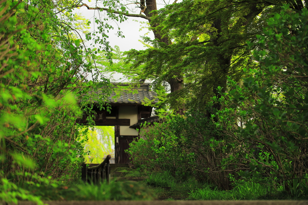 資福寺山門