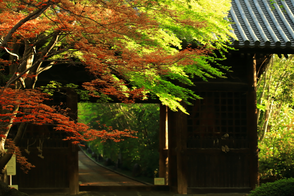 輪王寺山門