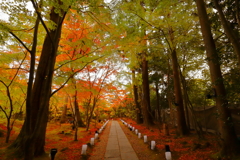 紅葉の石畳参道