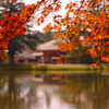 秋色の浄土庭園