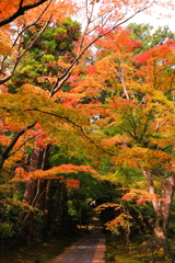 三慧殿への参道（円通院）