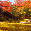松島円通院