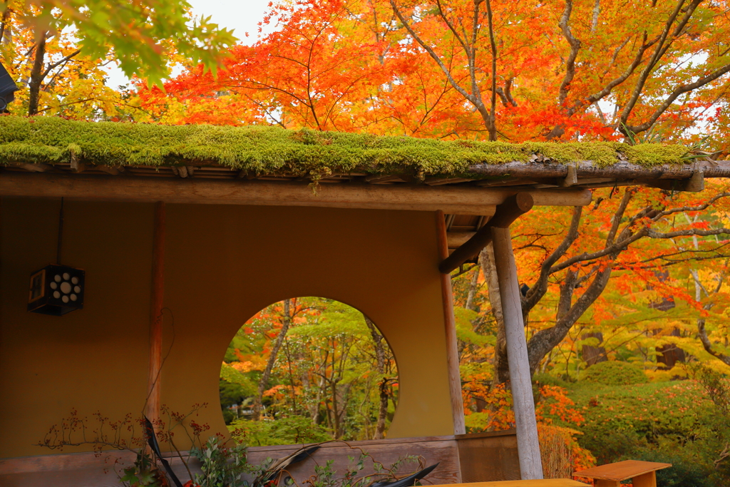 丸窓と紅葉