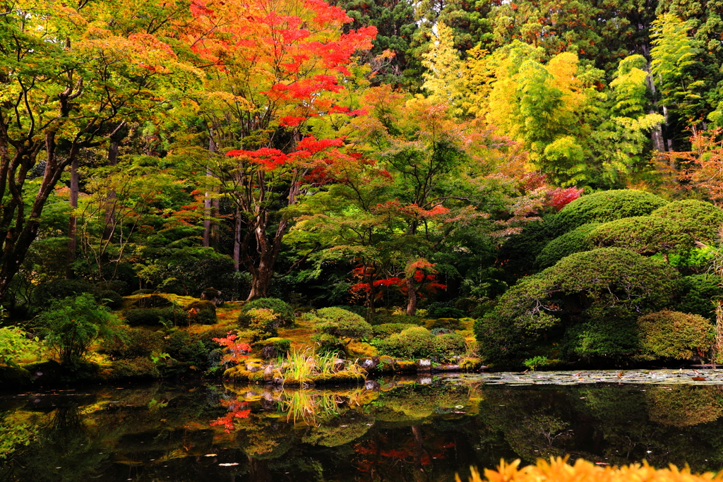 深山幽谷の庭園