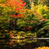深山幽谷の庭園