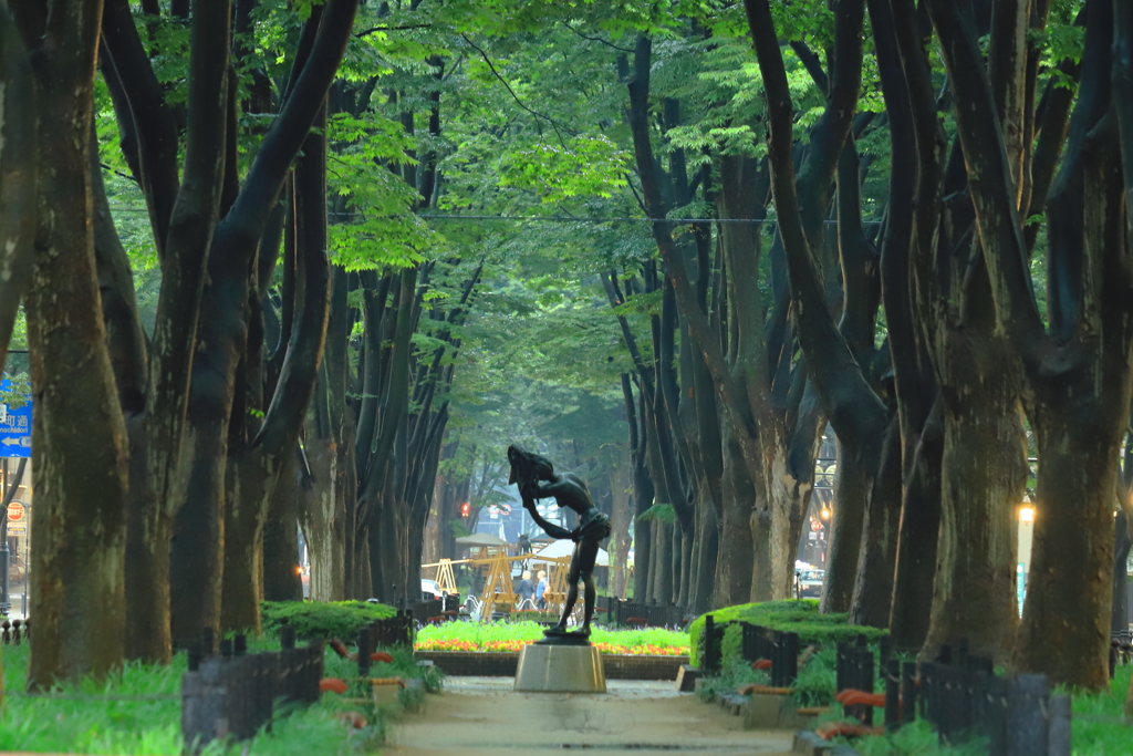 雨の定禅寺通り