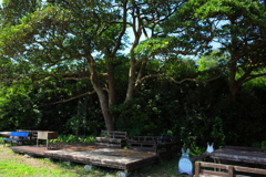 トトロの休憩所